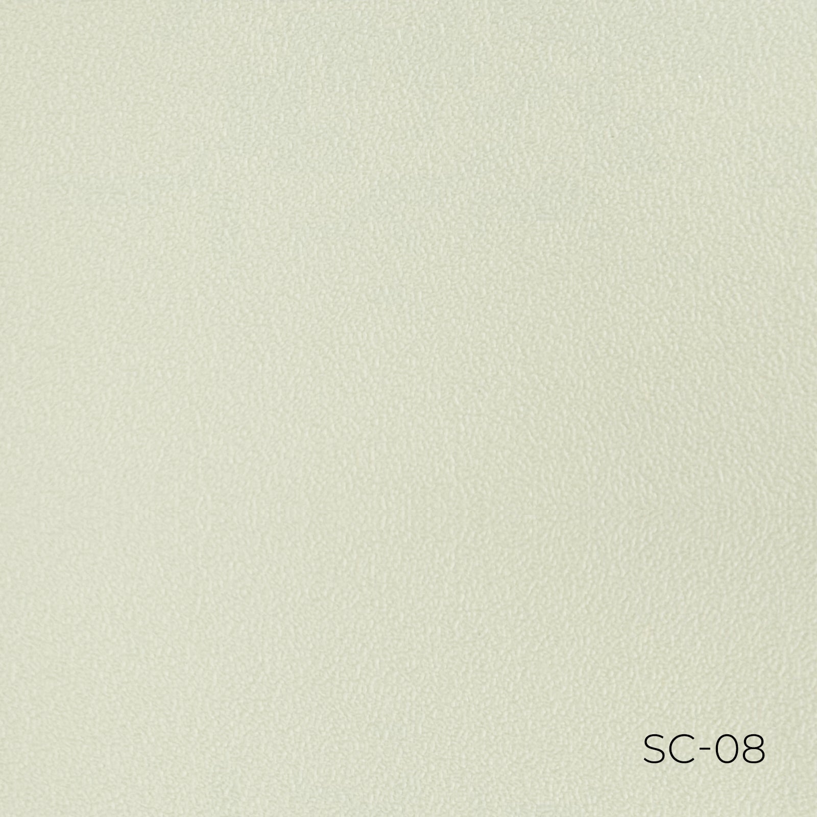 Solid Color Light Sage Interior Film