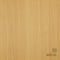 Sunlit Oak Interior Film