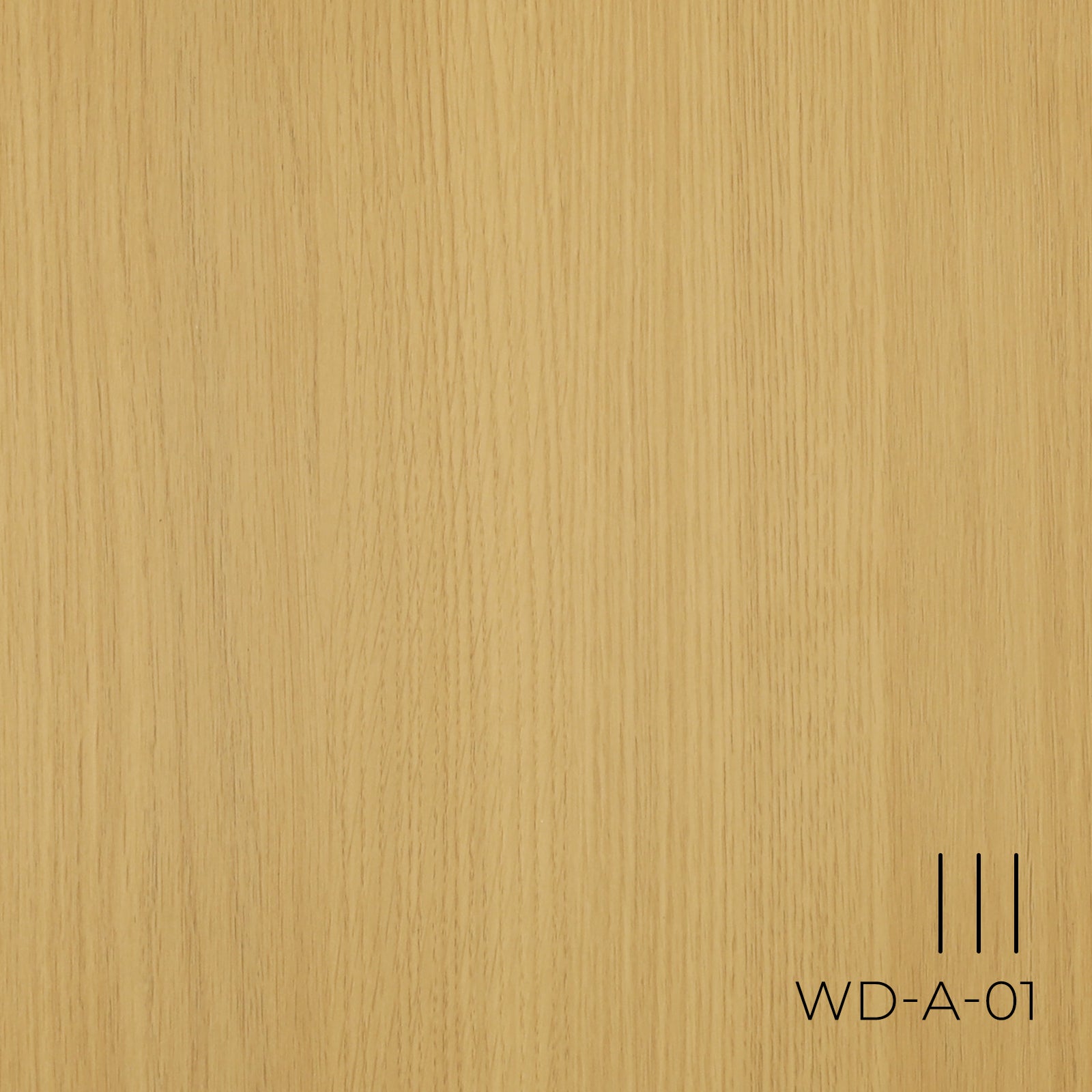 Sunlit Oak Interior Film